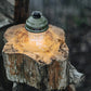Beacon Hanging Lantern (Olive)