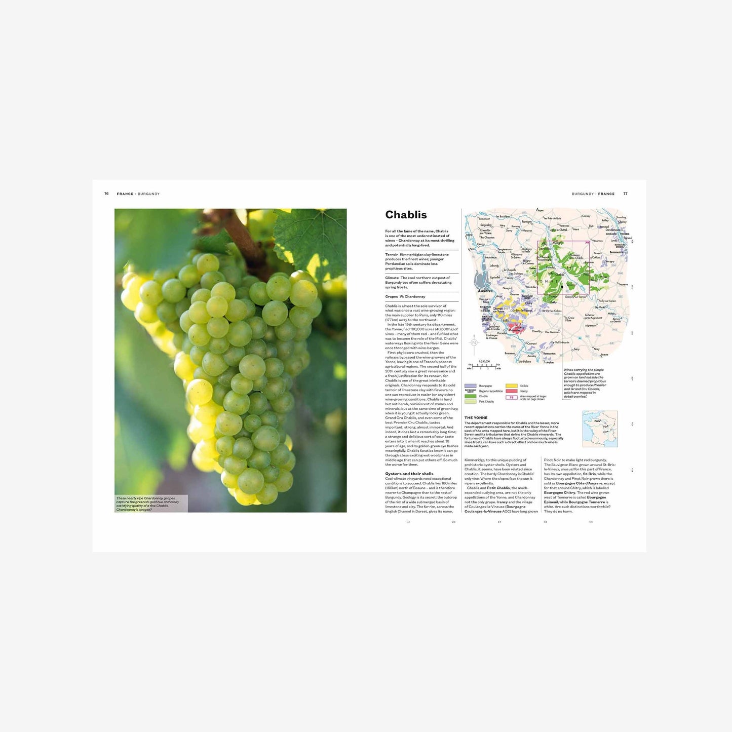 The World Atlas of Wine: 8th Ed.