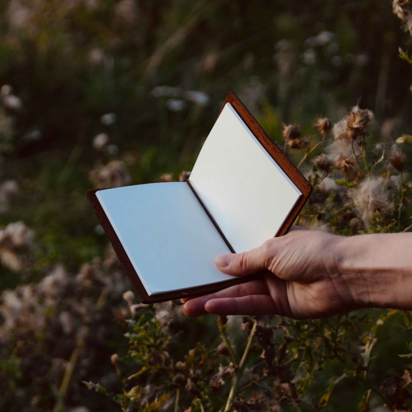 Leather Travel Journal (Brown)