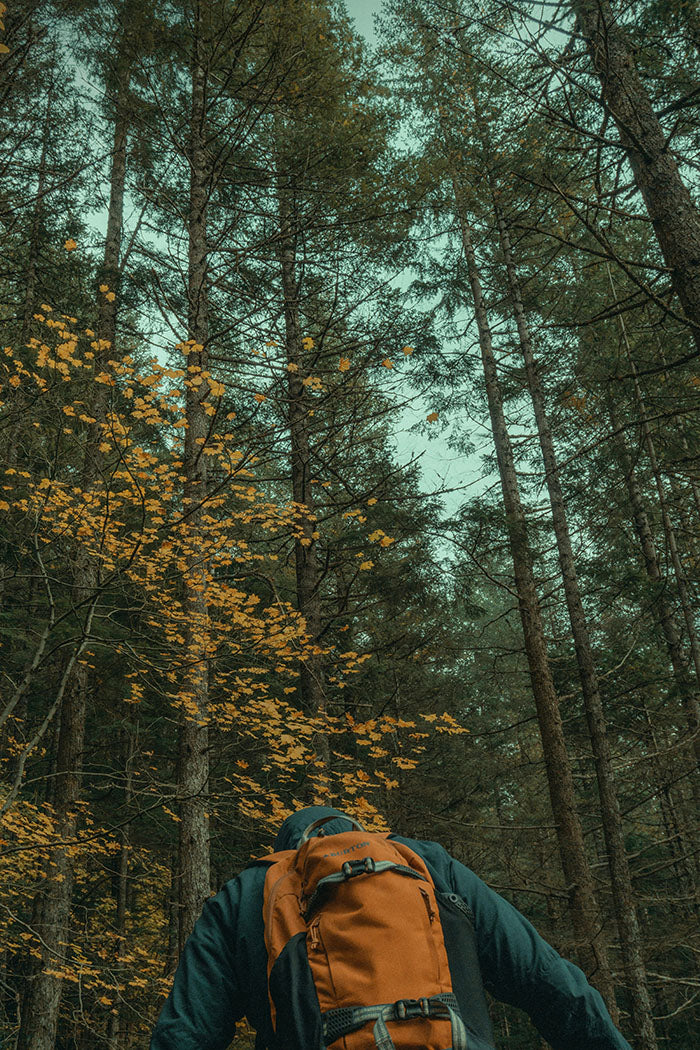 The Outdoorsman