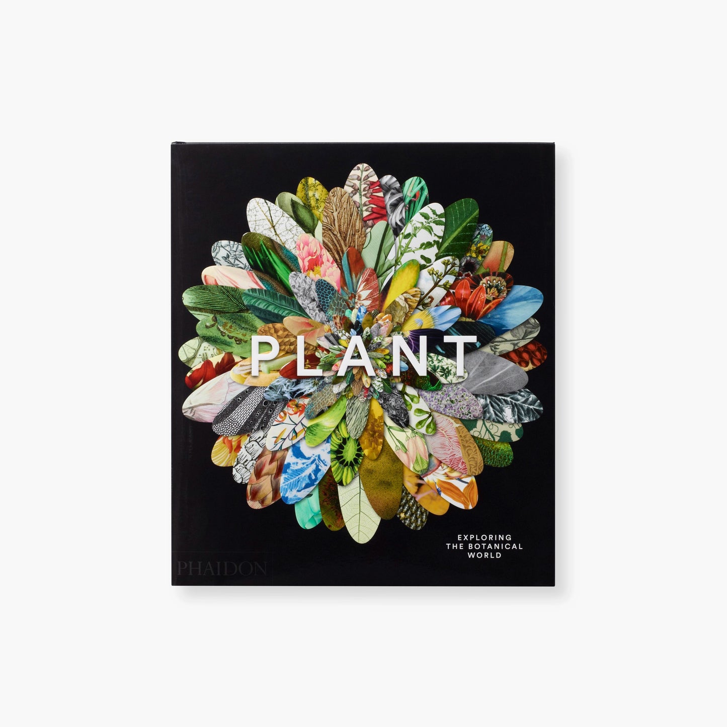 Plant: Exploring the Botanical World