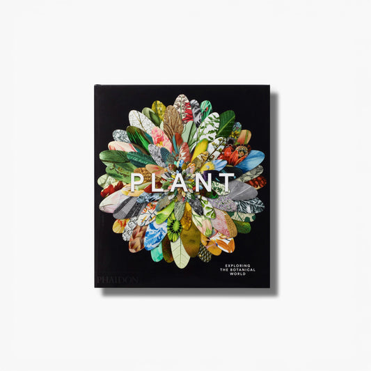 Plant: Exploring the Botanical World