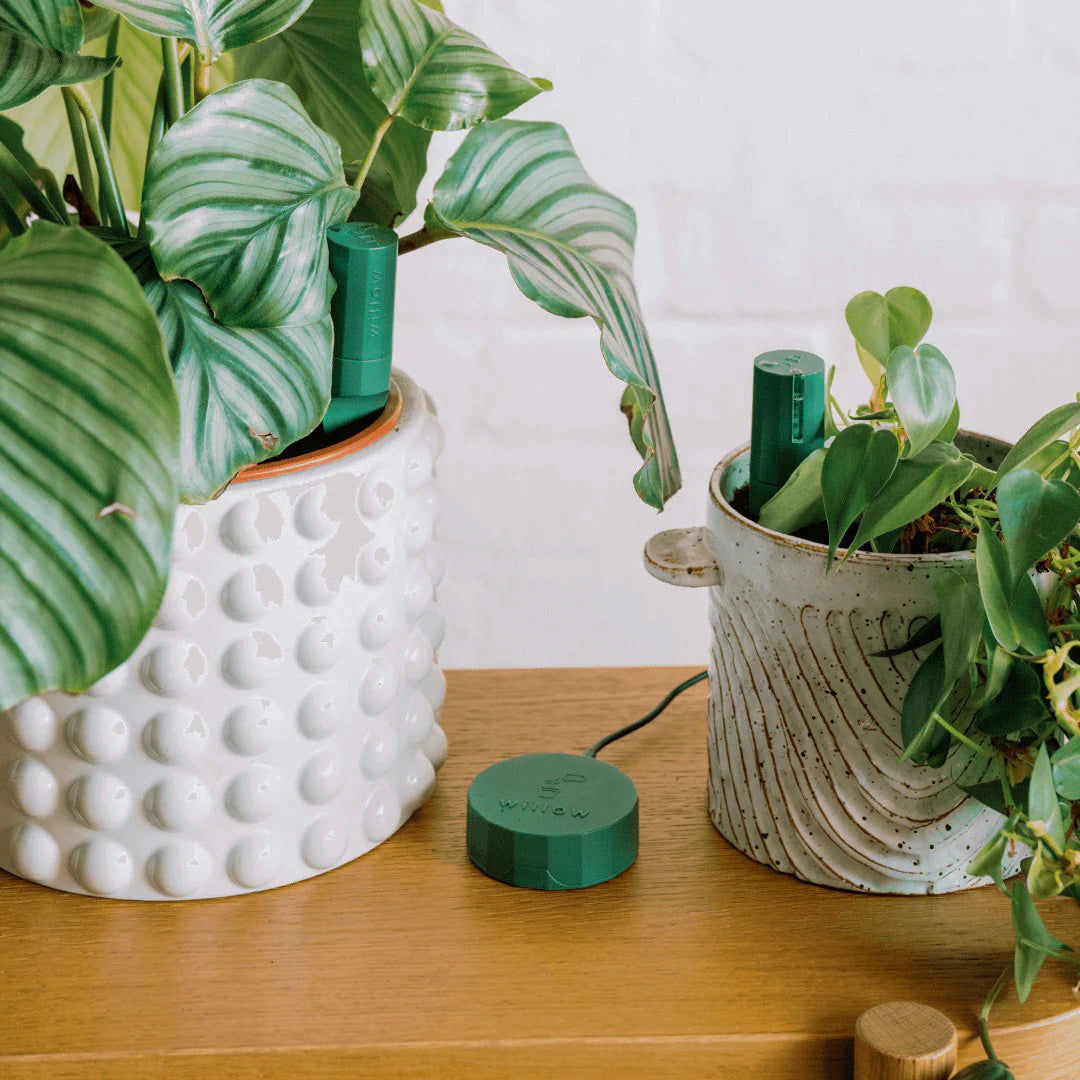 Bluetooth Smart Plant Sensor Set (Green)