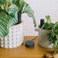Bluetooth Smart Plant Sensor Set (Charcoal)