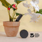 Bluetooth Smart Plant Sensor Set (Charcoal)