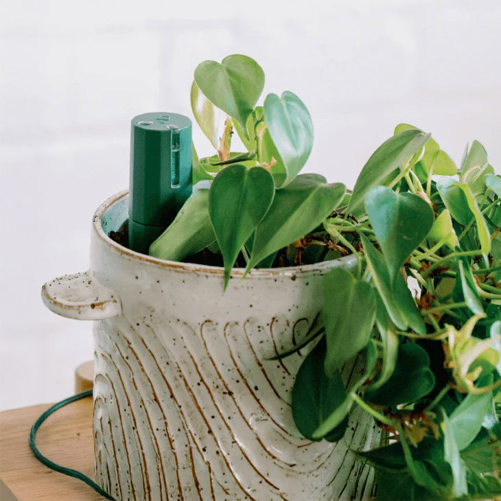 Additional Bluetooth Smart Plant Sensor
