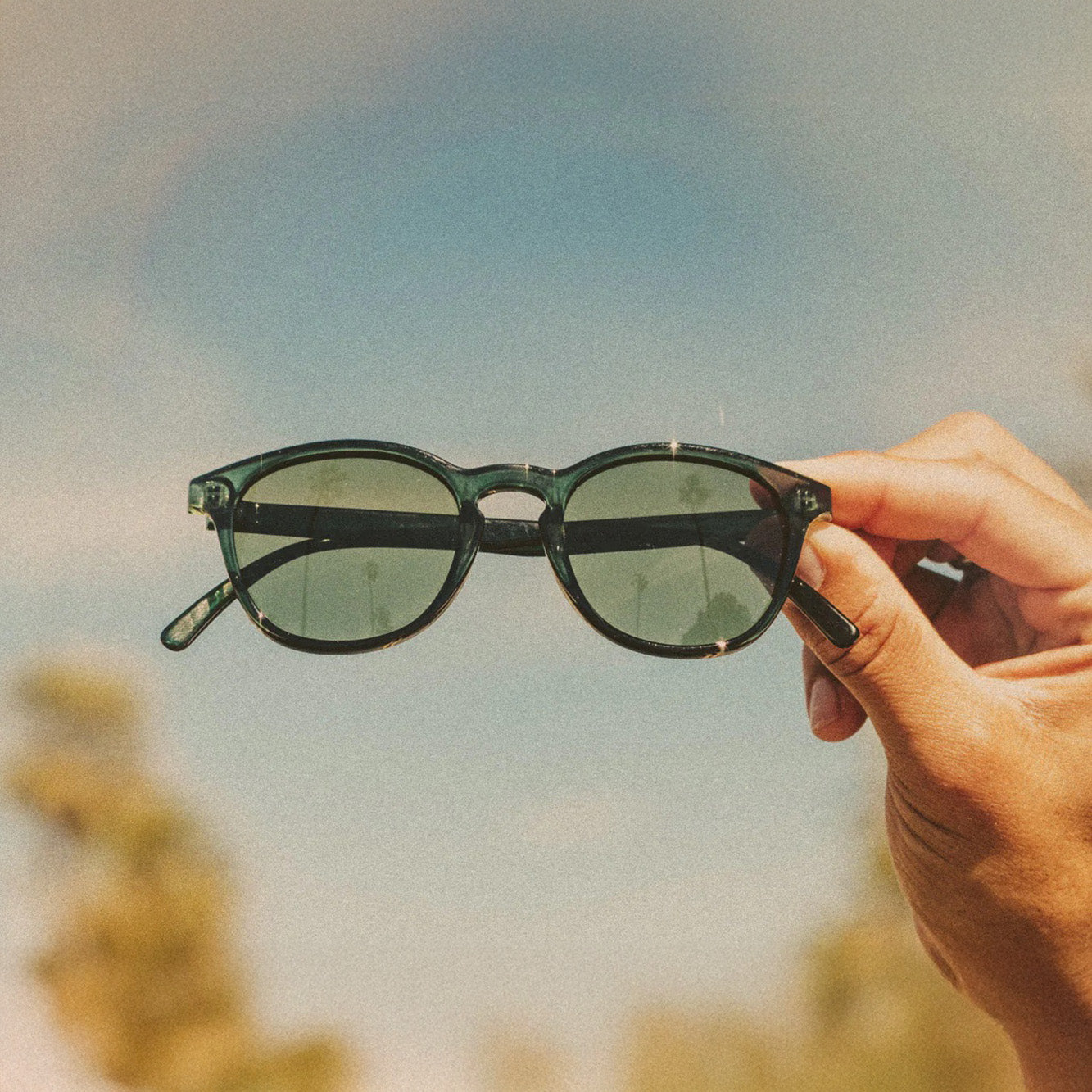 Yuba Polarised Sunglasses (Deep Green Forest)