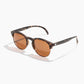 Avila Sunglasses (Tortoise Amber)