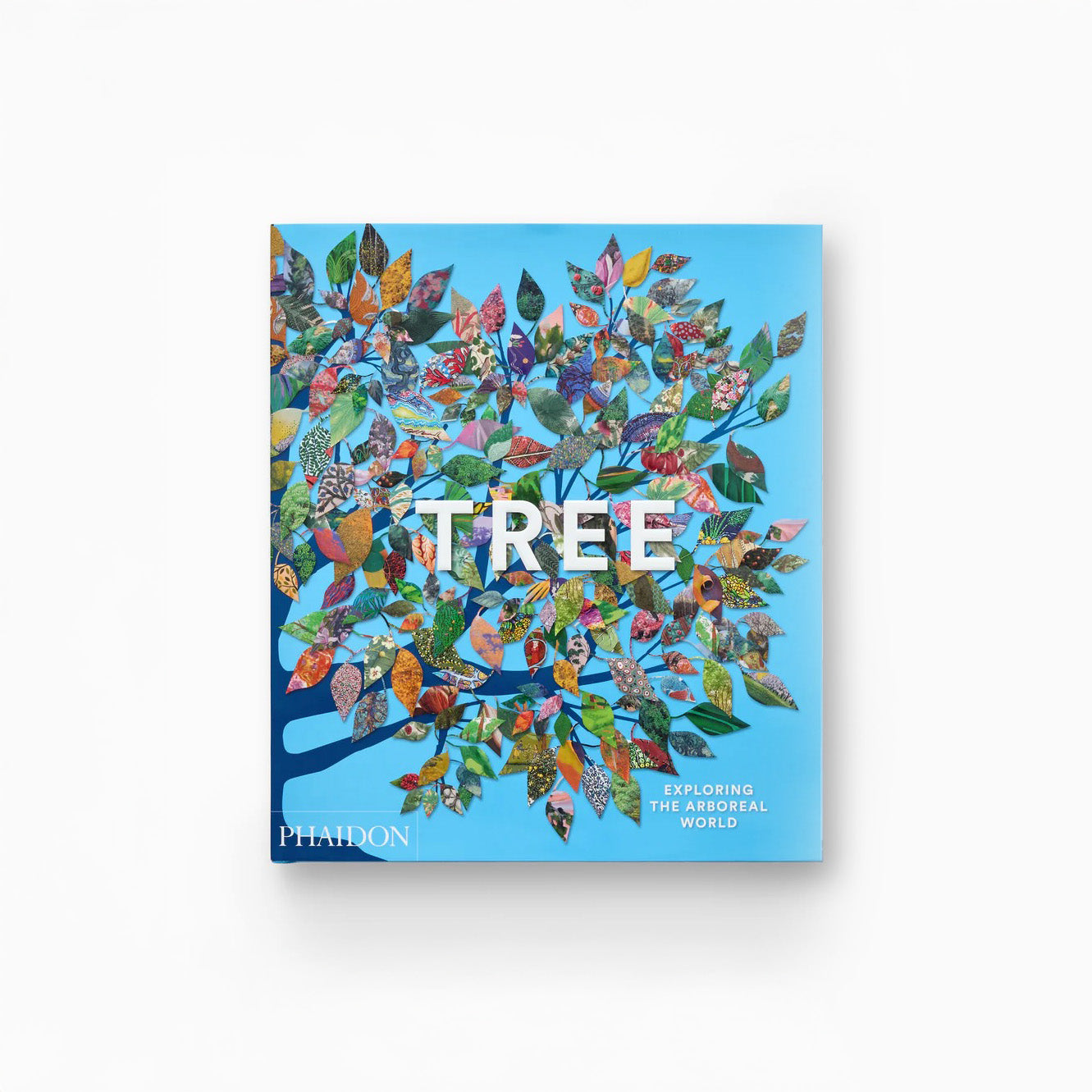 Tree: Exploring the Arboreal World