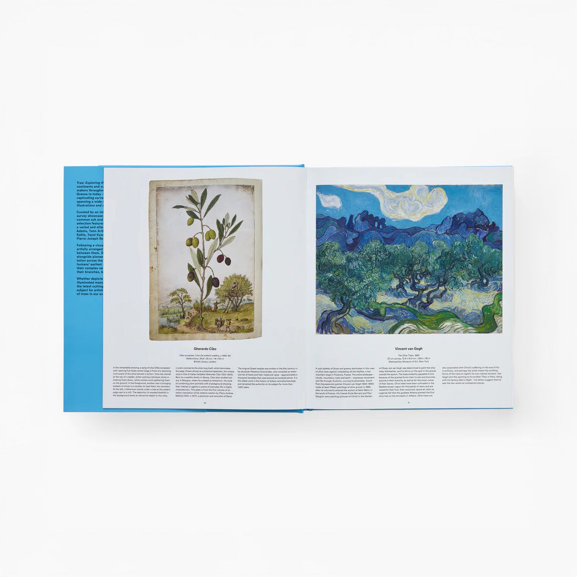 Tree: Exploring the Arboreal World