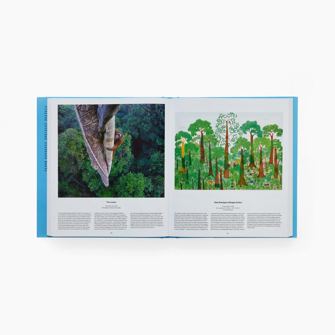 Tree: Exploring the Arboreal World