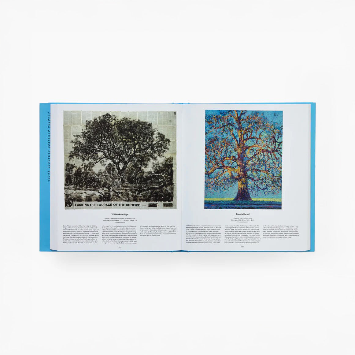 Tree: Exploring the Arboreal World