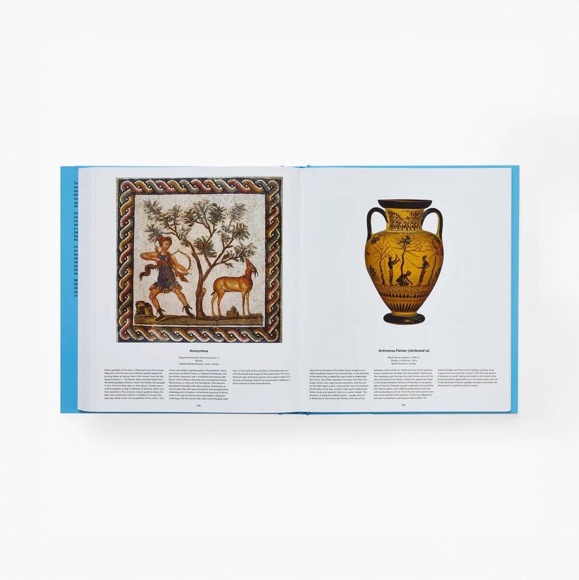 Tree: Exploring the Arboreal World