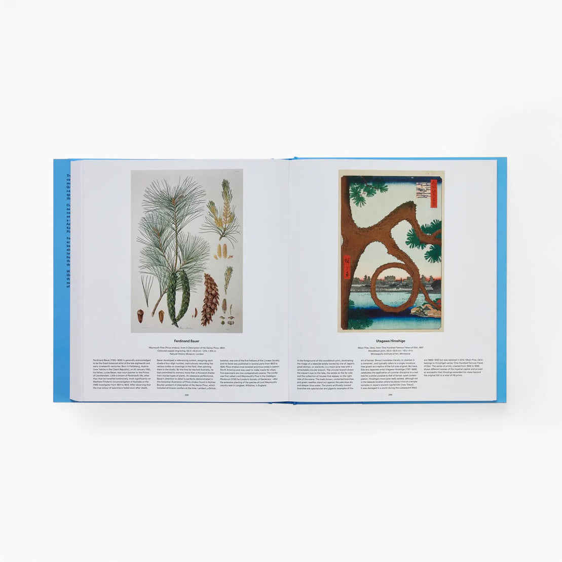 Tree: Exploring the Arboreal World