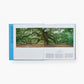 Tree: Exploring the Arboreal World