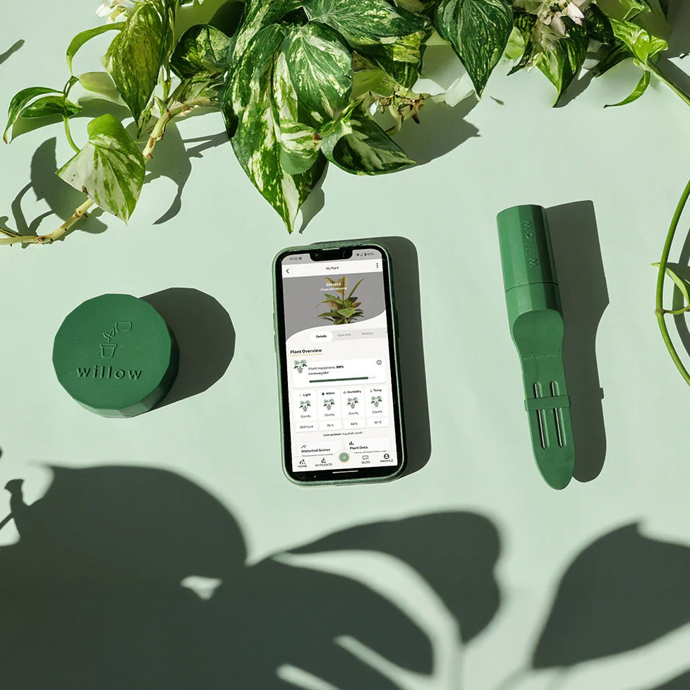 Bluetooth Smart Plant Sensor Set (Green)