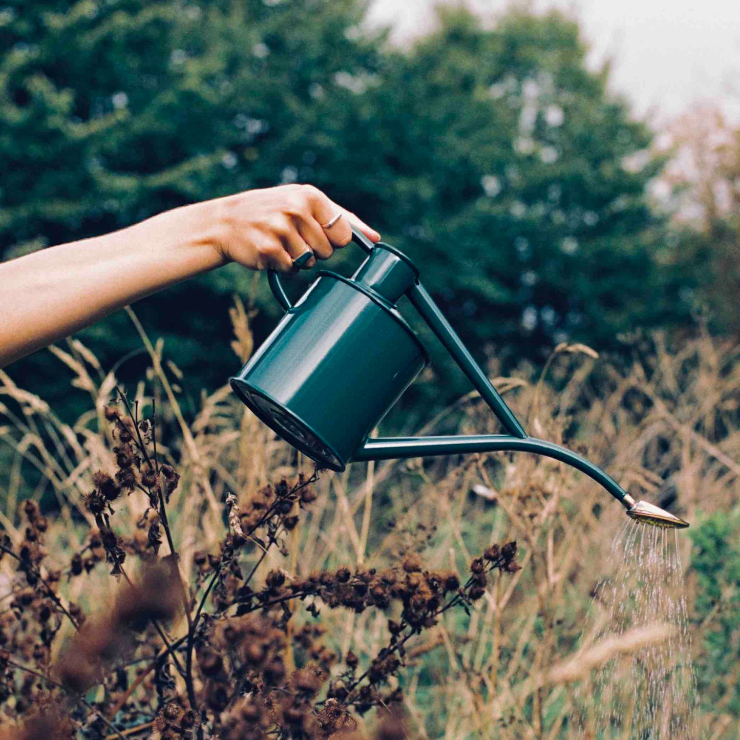 Rowley Ripple Watering Can