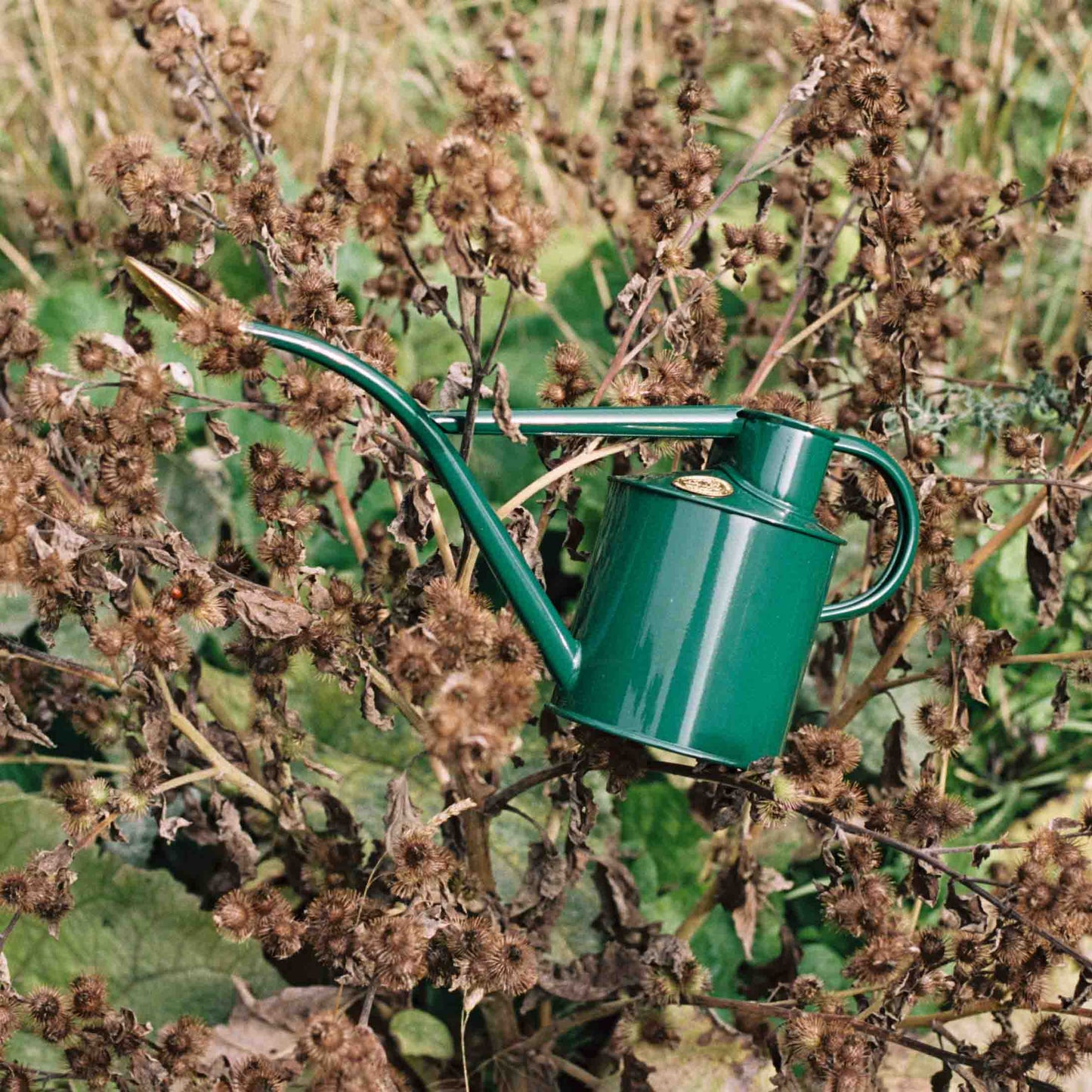 Rowley Ripple Watering Can